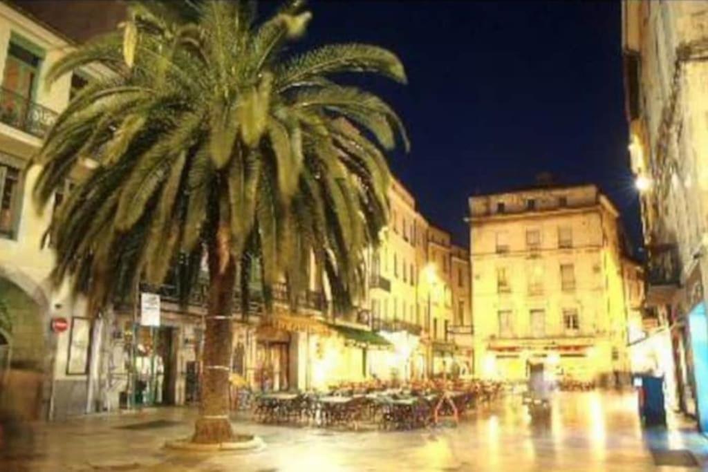 Studio « Le Boheme Chic » Nîmes Eksteriør bilde